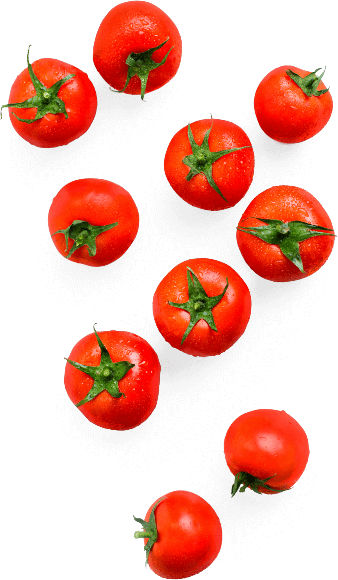 tomato